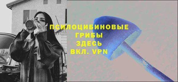 крисы Беломорск