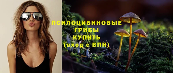 крисы Беломорск